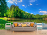 Фотообои Тихий лес - 1