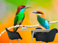 Фотошпалери Колібрі на гілці - 1