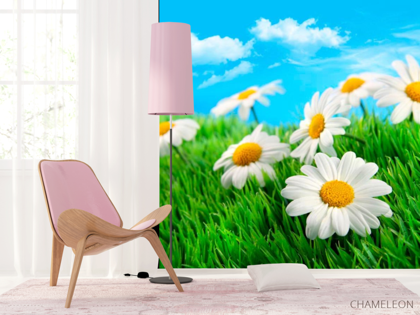 Фотошпалери Польові ромашки - 4