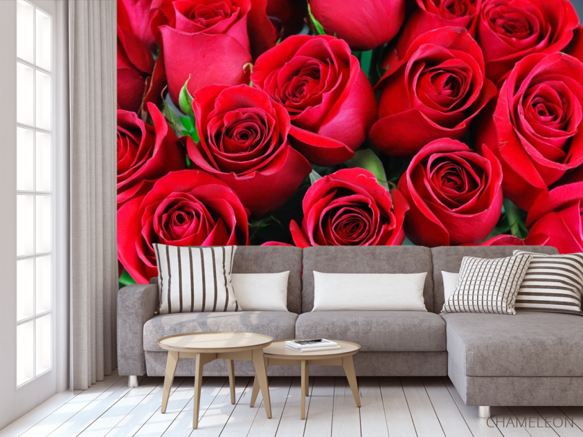 Фотообои красные розы - 3