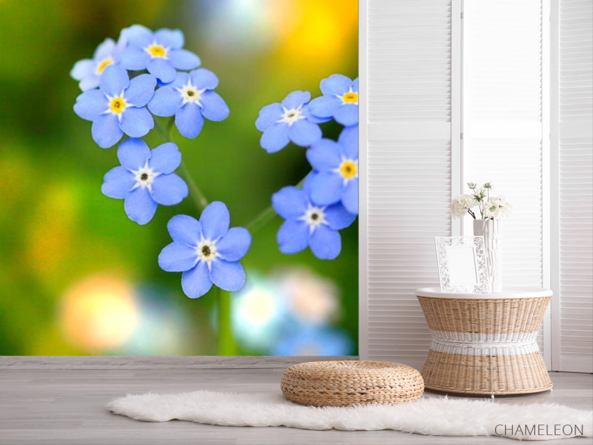 Фотошпалери Волошки - 2