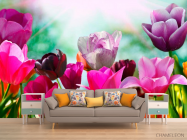 Фотообои Тюльпаны редких цветов - 1