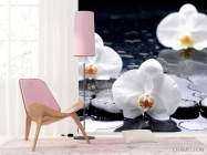 Фотошпалери Орхідеї на чорних каменях - 4