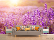 Фотообои поле цветочков - 1