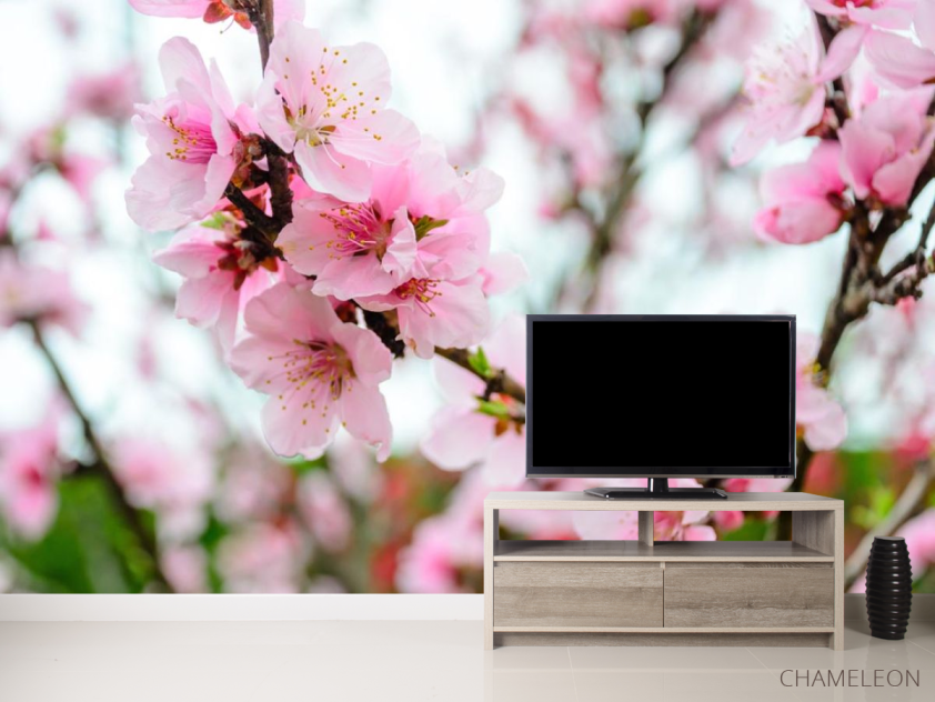 Фотообои розовая сакура - 2