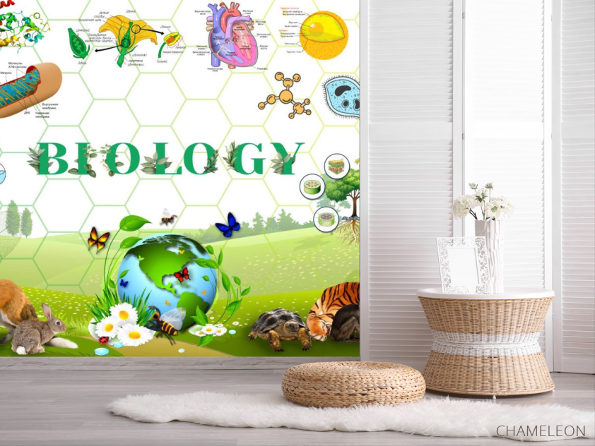 Фотошпалери Для кабінету біології - 2