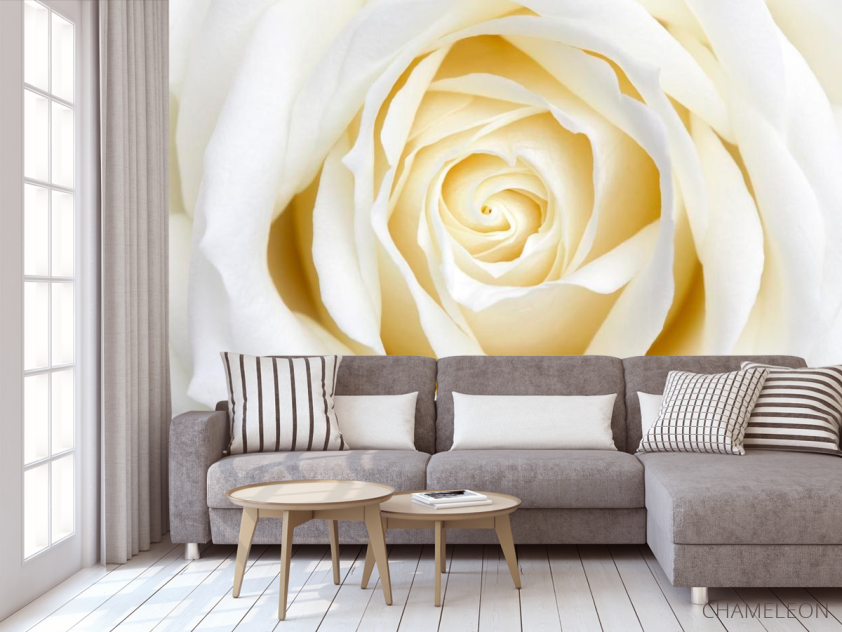 Фотообои Бежево-белая розочка - 3