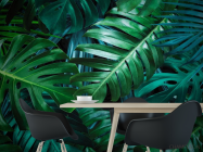 Фотошпалери листя монстери - 1