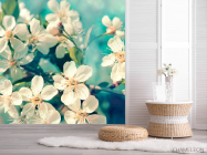 Фотошпалери Квіти вишневі у вазі - 2