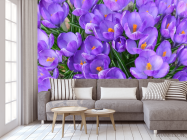 Фотообои Шафран весенний - 3