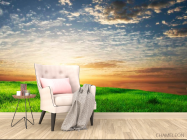 Фотообои Трава, небо - 4