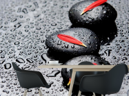 Фотошпалери Пелюстки, камені, краплі - 1