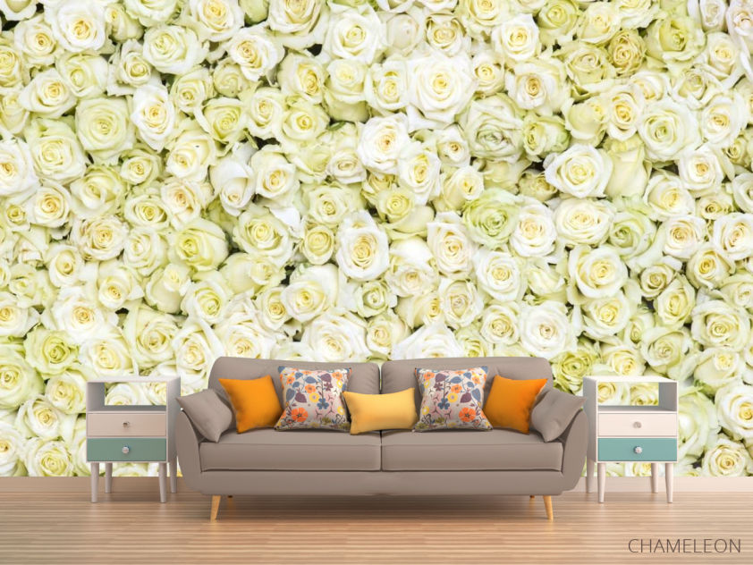 Фотообои море белых роз - 1