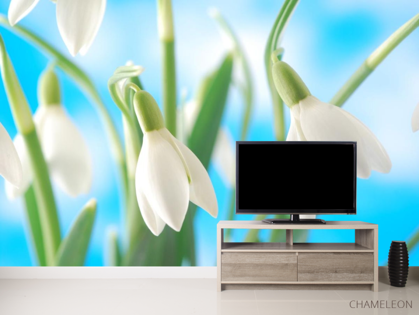 Фотообои подснежники - 2