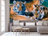 Фотообои Два тигра - 3