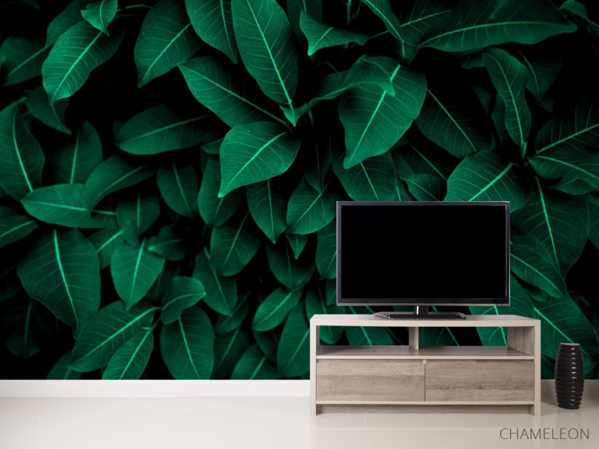 Фотообои Зелёные листья - 2