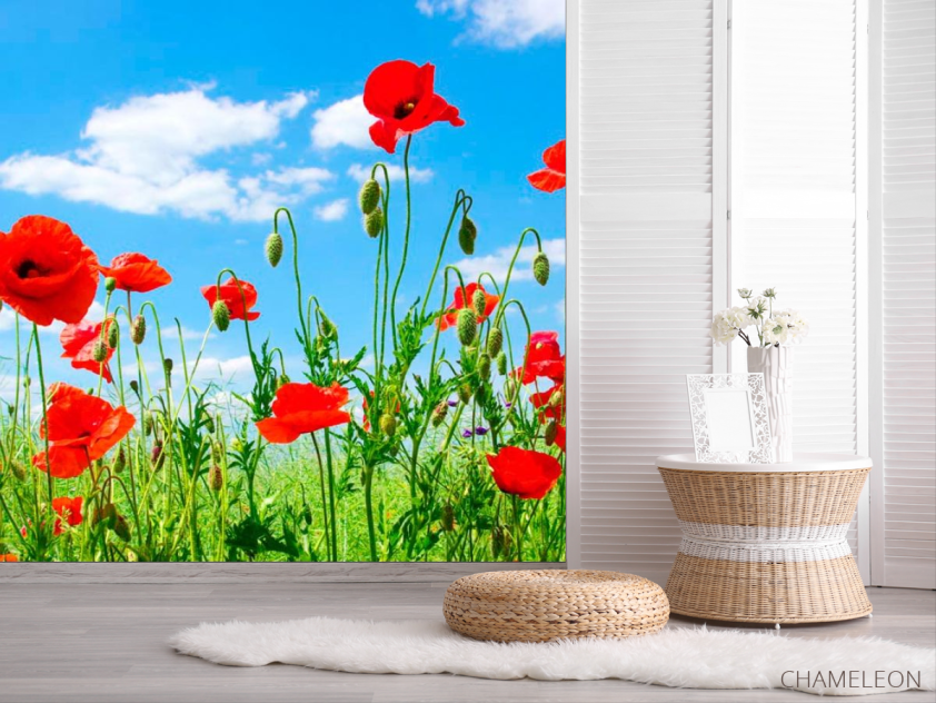 Фотошпалери Маки в степу - 2