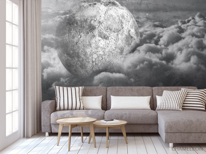 Фотообои Серая луна - 3