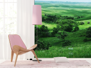 Фотошпалери Нескінченний луг - 4