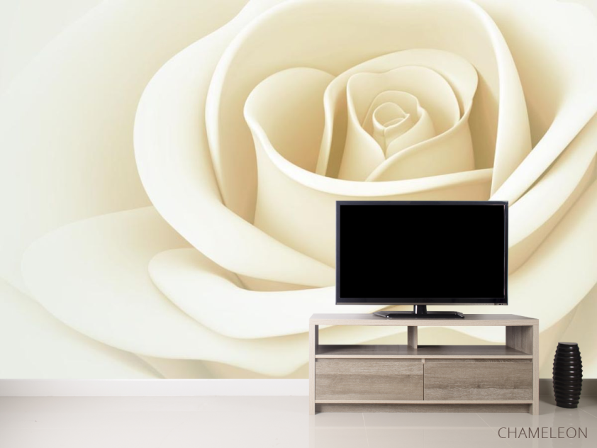 Фотообои белая роза - 2