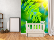 Фотообои Зелень над водой - 2