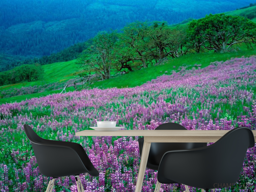 Фотошпалери Гармонія на луці - 1