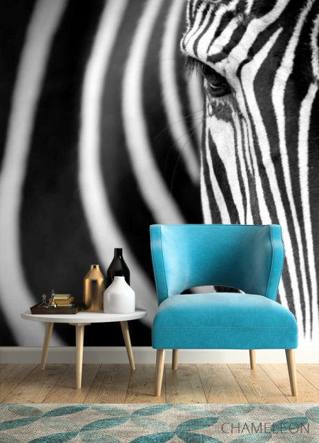 Фотообои Зебра - 4