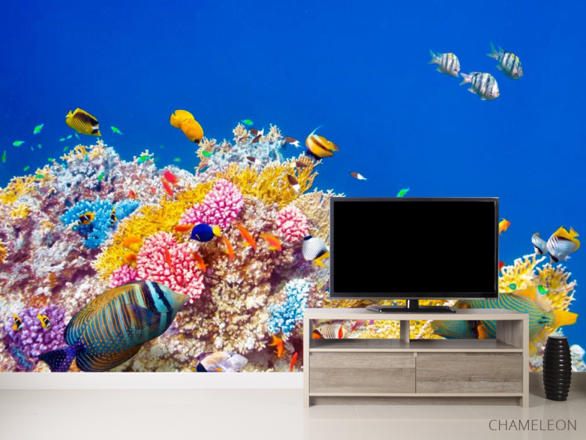 Фотообои Кораллы и рыбы - 2