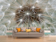 Фотообои семена на одуванчике - 1