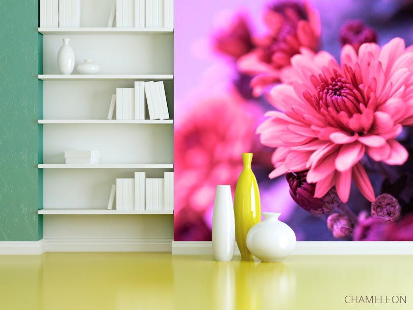 Фотошпалери Айстри рожеві - 3