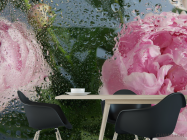 Фотошпалери Рожеві півонії з краплями дощу - 1