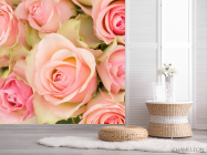 Фотошпалери roses - 2