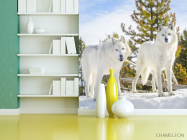 Фотошпалери два білих вовка на снігу - 3