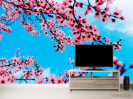 Фотообои Цветущая весной вишня - 2