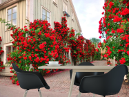 Фотошпалери Троянди в провулку - 1