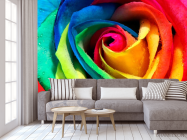 Фотообои Разноцветная роза - 3