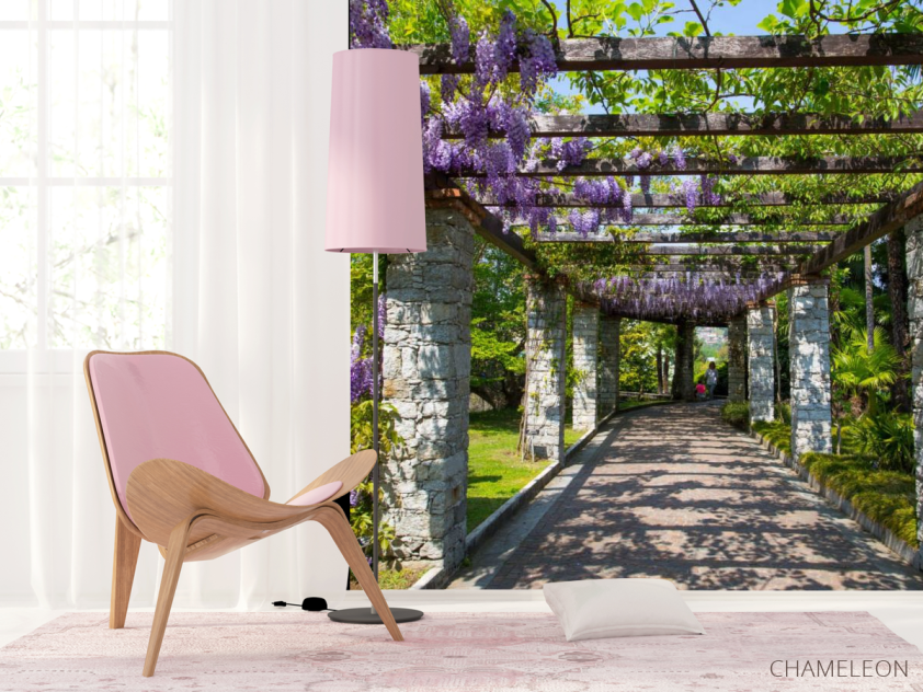 Фотошпалери Арка з гліцинією - 4