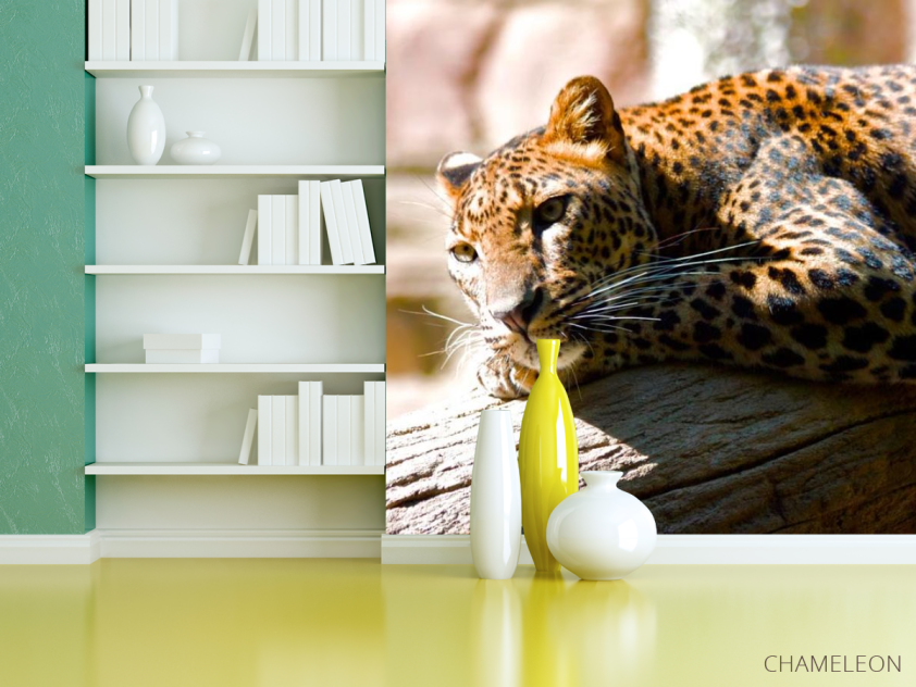 Фотошпалери Мріє гепард - 3