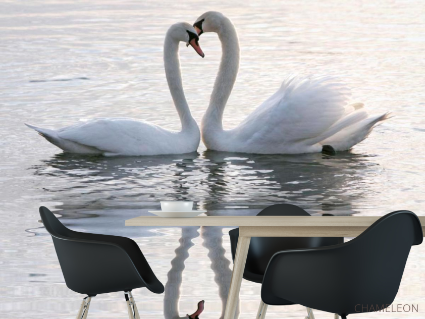 Фотообои Два лебедя - 1