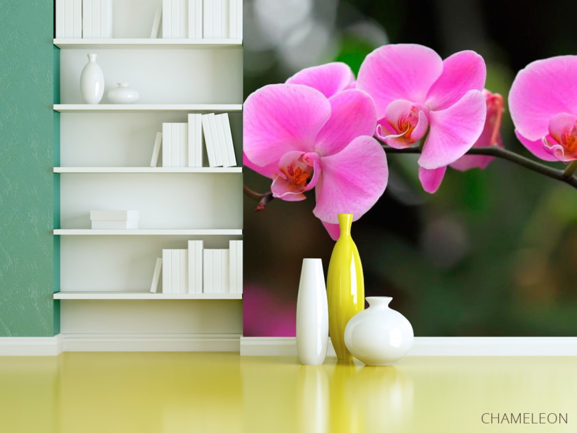 Фотошпалери Орхідеї ніжно-рожеві - 3