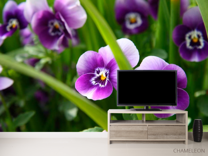 Фотообои Фиолетовые анютины глазки - 2