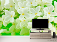 Фотообои Маленькие беленькие цветочки - 2