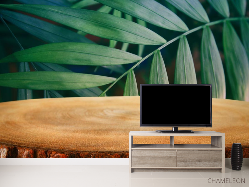 Фотообои пенек в лесу - 2