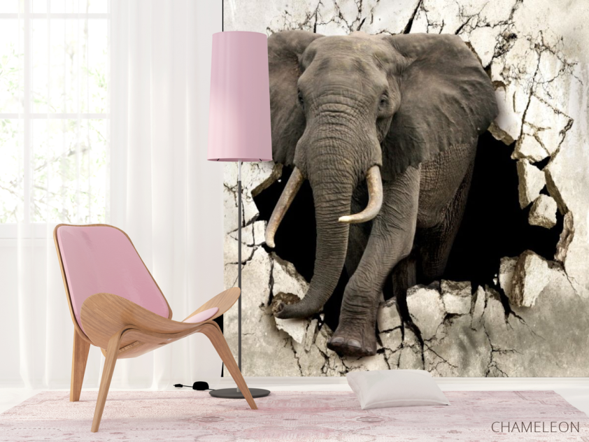Фотошпалери Слон - 4