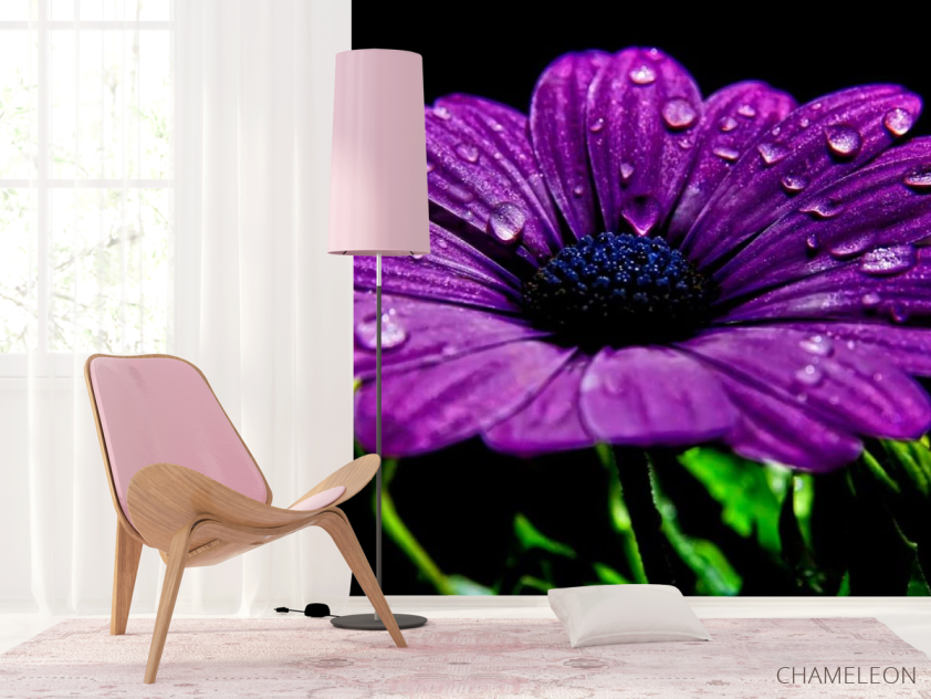 Фотошпалери Фіолетовий квітка - 4