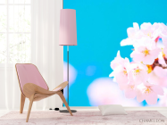 Фотошпалери Білі квіти в небі - 4