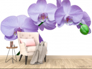 Фотообои Орхидеи сиреневые - 4