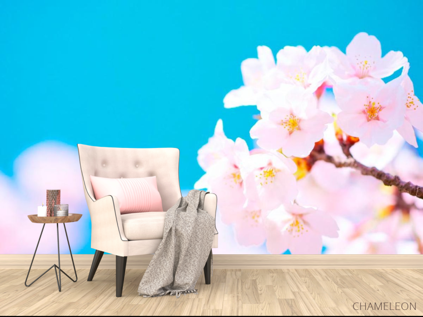 Фотообои Белые цветы в небе - 4