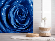 Фотообои синяя роза с каплями - 2