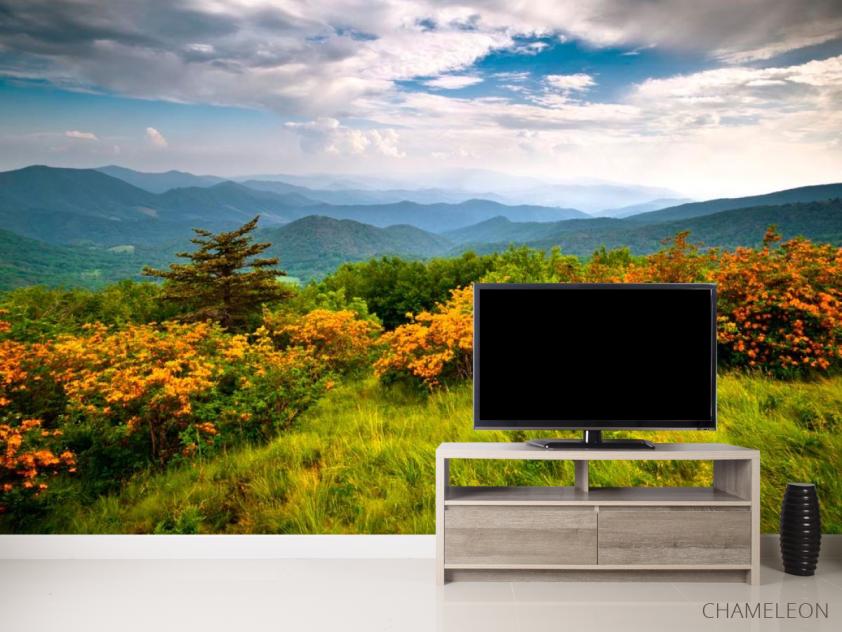 Фотообои Дикое дыхание, горы - 2